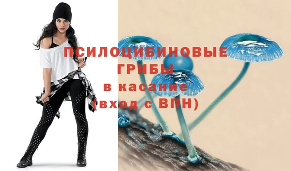 метадон Беломорск