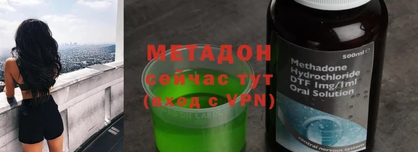 прущие грибы Белокуриха
