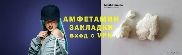 прущие грибы Белокуриха