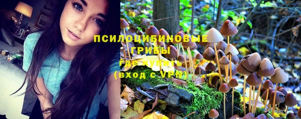 PSILOCYBIN Белоозёрский