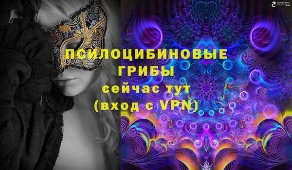 PSILOCYBIN Белоозёрский