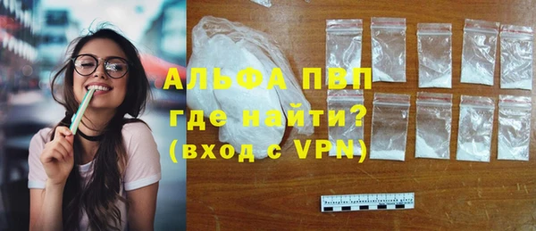 PSILOCYBIN Белоозёрский