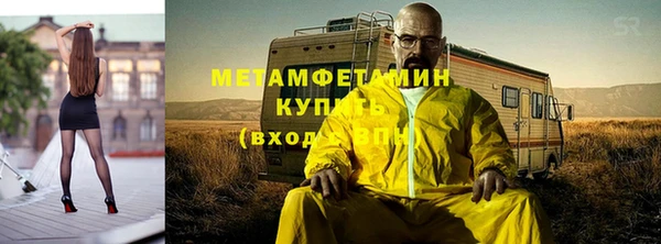 прущие грибы Белокуриха