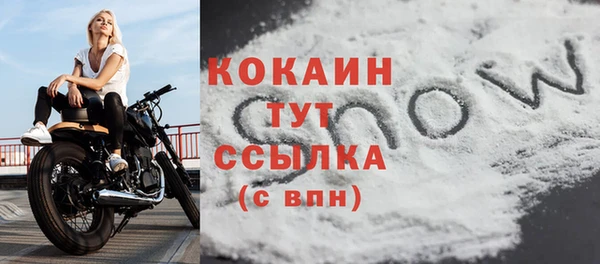 прущие грибы Белокуриха