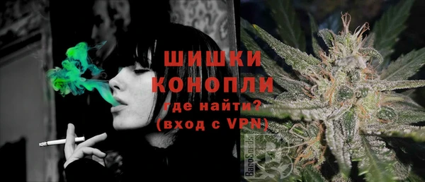 прущие грибы Белокуриха