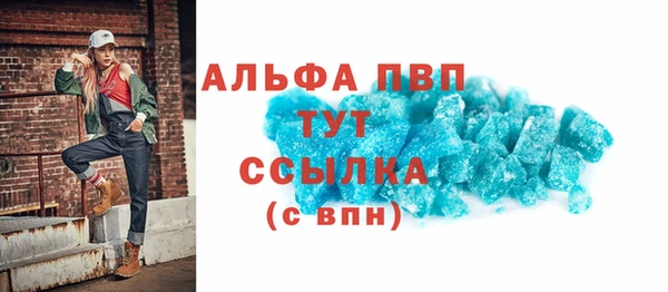 прущие грибы Белокуриха